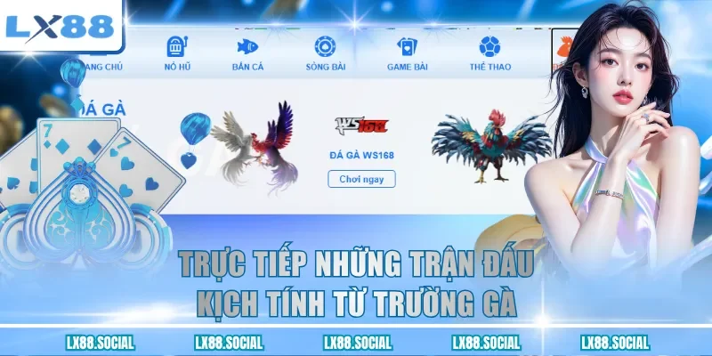 Trực tiếp những trận đấu kịch tính từ trường gà